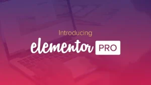 Plugin Elementor-WP